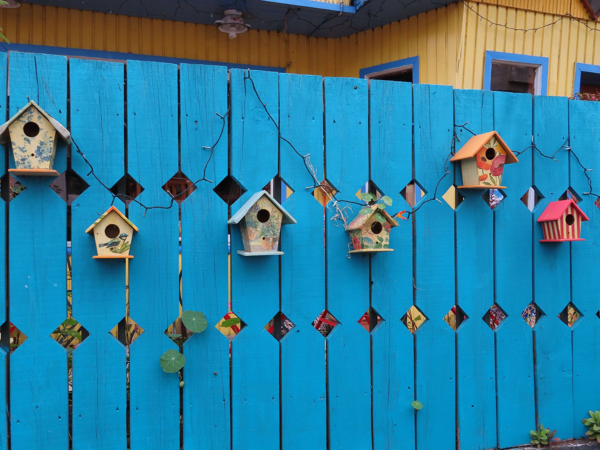 Vibrant blue fence adorned with colorful birdhouses in Castro, Chile, offering a lively outdoor scene.
